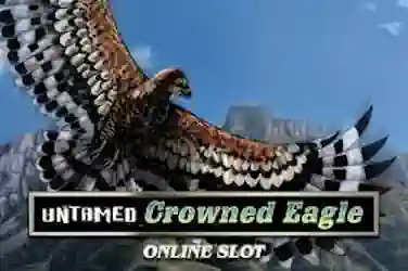 Untamed Crowned Eagle