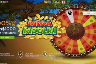 Casino dot com Mega Moolah Bonus