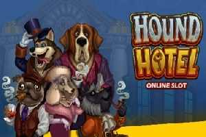 Hound Hotel