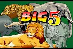 Big 5