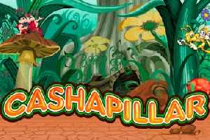 Cashapillar