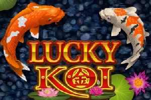 Lucky Koi