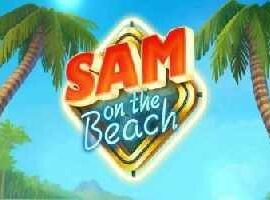 Sam on the Beach