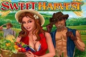 Sweet Harvest
