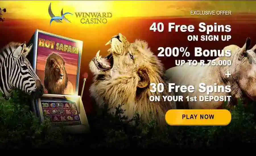 Winward Hot Safari Bonus Spins