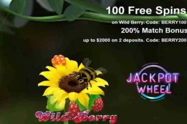 100 Wild Berry Free Spins Jackpot Wheel