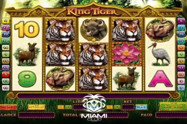 Miami Club 40 Free Spins King Tiger