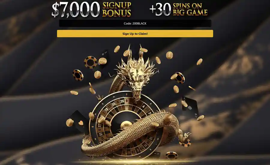 Black Lotus Casino Screenshot