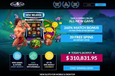 Cool Cat Bonus Wheel Jungle bonus