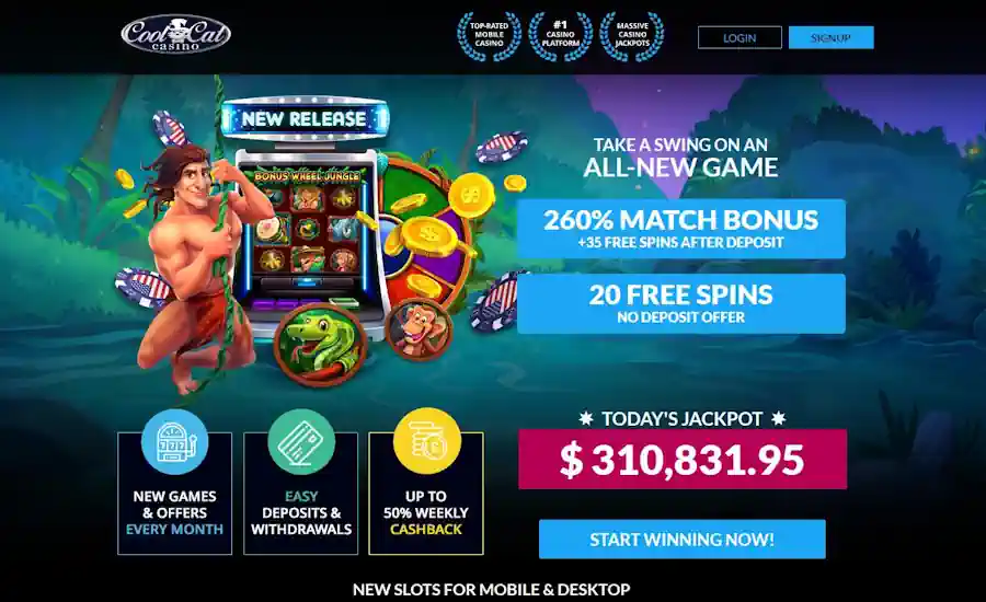 Cool Cat Bonus Wheel Jungle bonus