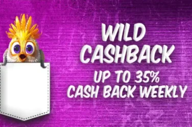 CryptoWild your pockets wildly fat