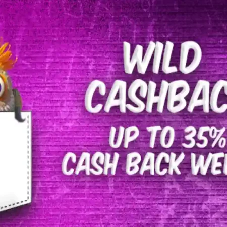 With CryptoWild Casino – Your Pockets will get wildly fat!
