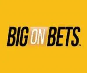 Big On Bets Casino logo