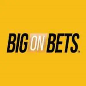 Big On Bets Casino logo