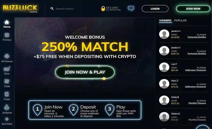 Buzzluck Casino Screenshot