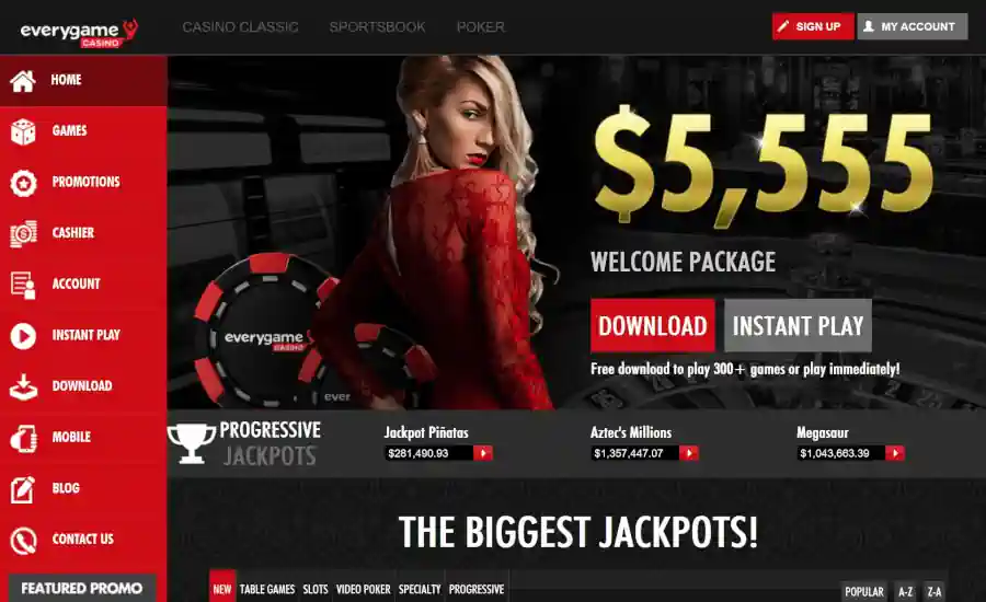 Everygame Casino Screenshot