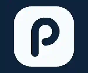Punt Casino logo