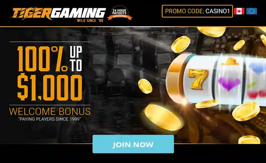 Tiger Gaming Casino Screenshot