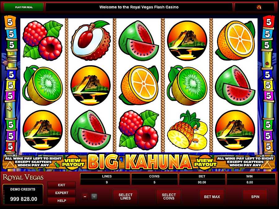 Big Kahuna Screenshot