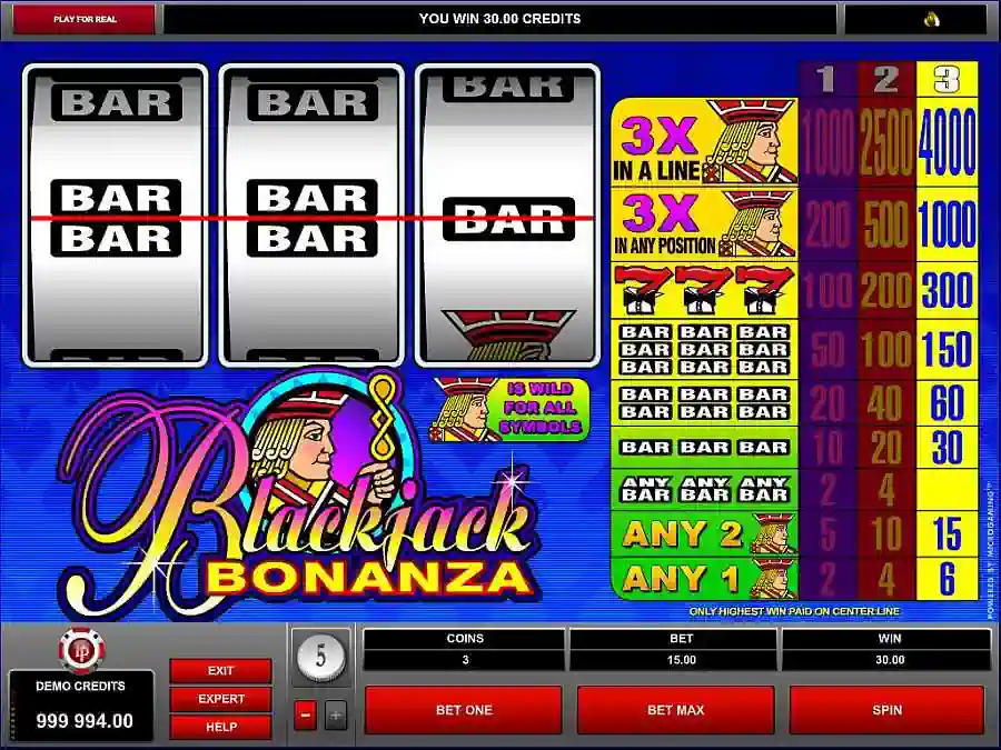 Blackjack Bonanza Screenshot