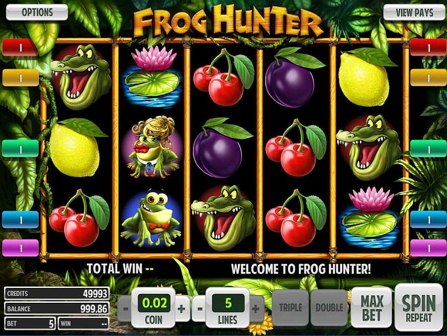 Frog Hunter Screenshot