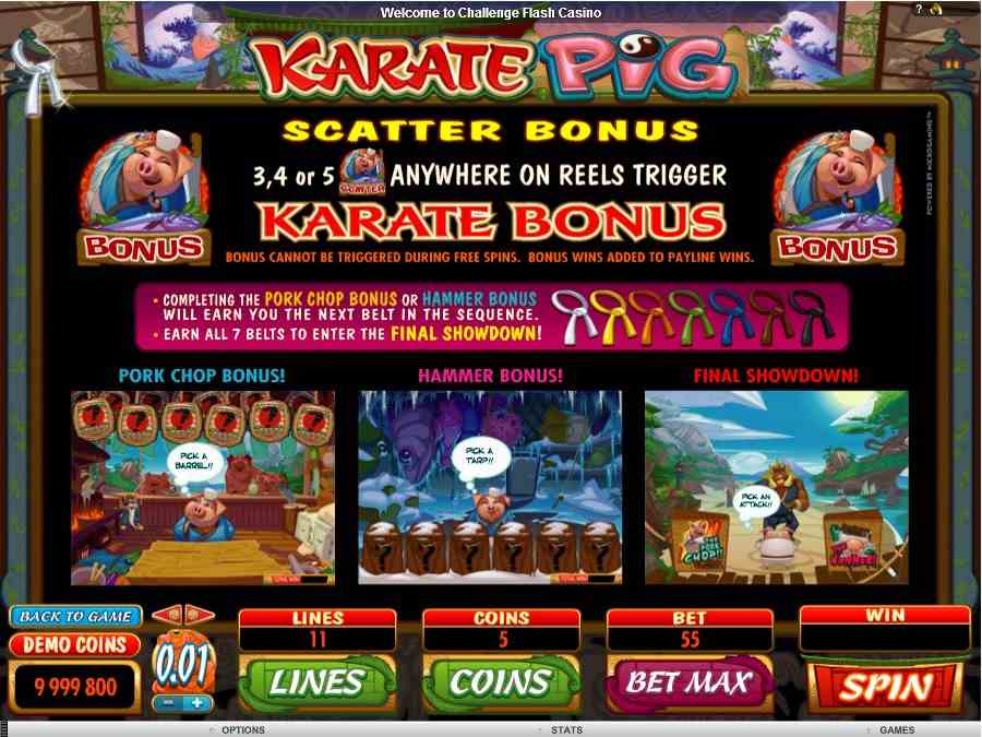 Scatter Bonus Feature