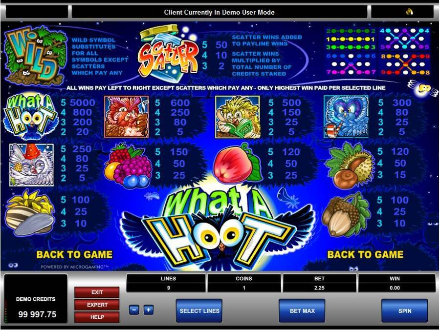 What A Hoot Symbol Pay table