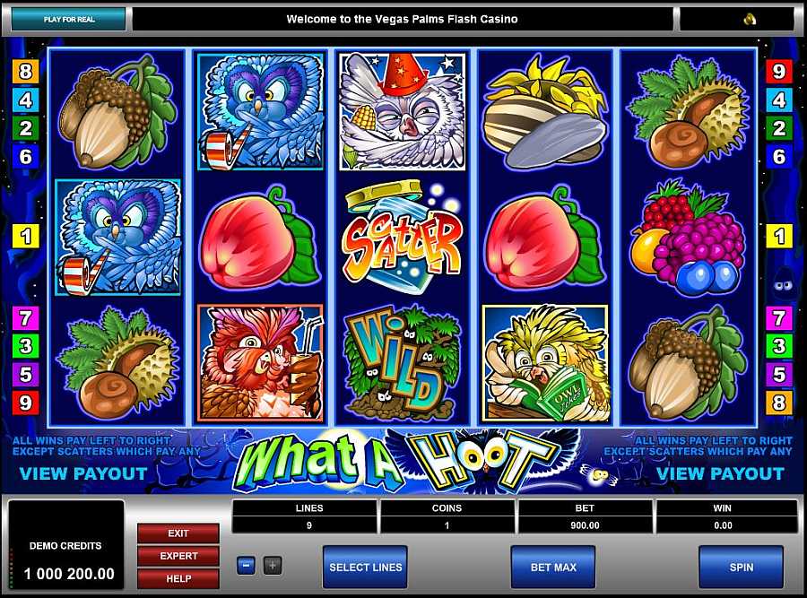 What A Hoot Screenshot