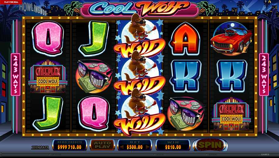 Cool Wolf Wild Screen