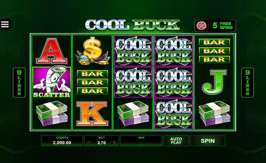 Cook Buck 5 reel Screenshot