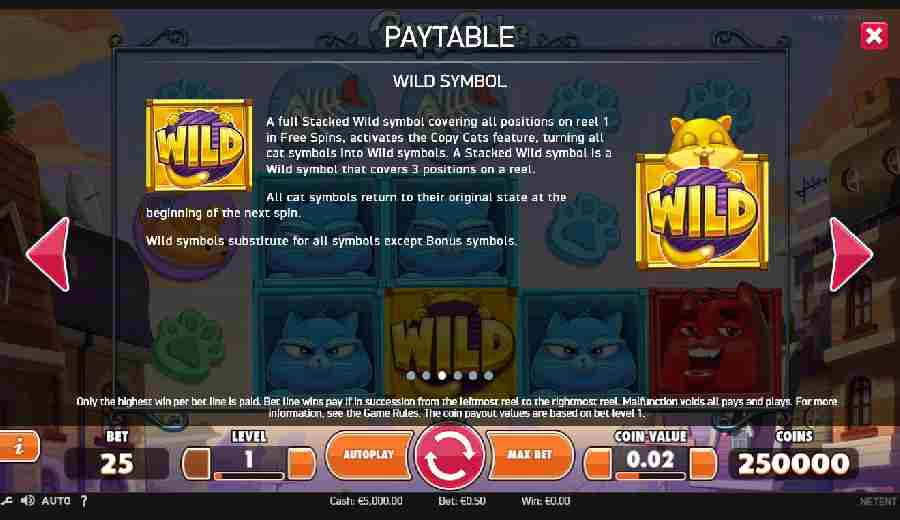 Copy Cats Wild Symbol Feature