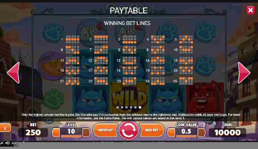 Copy Cats Winning Bet Lines