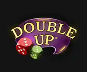 Double Up Online logo