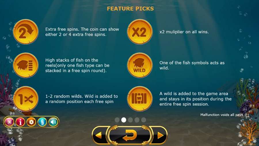 Golden Fish Tank Feature Pics