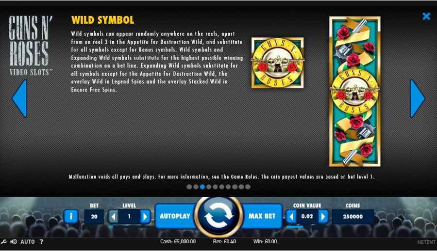 Guns n Roses Wild Symbol Feature