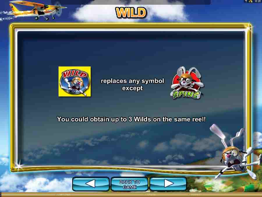 Jumpin Rabbit Wild Bonus Feature