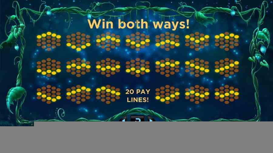 Magic Mushrooms Paylines 