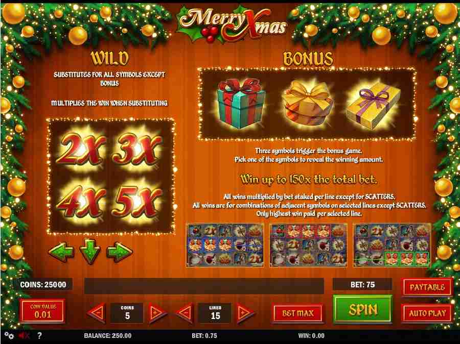 Bonus Symbol Features