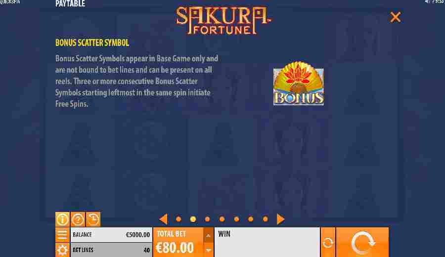 Bonus Scatter Symbol