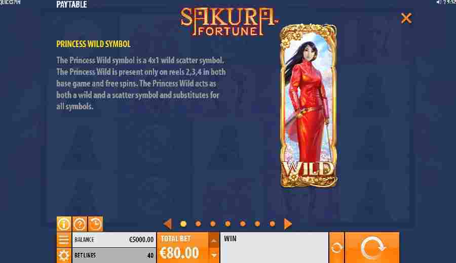 Princess Wild Symbol