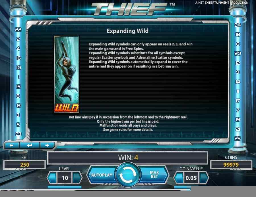 Thief Expanding Wild Feature