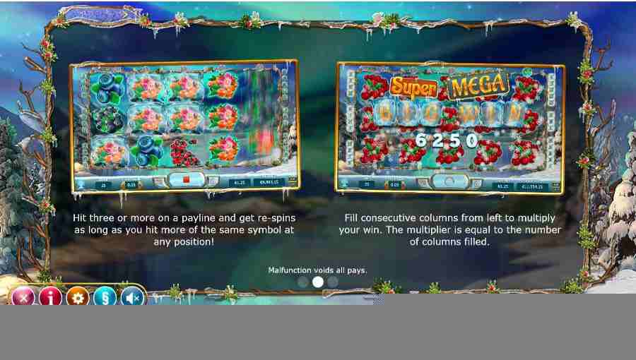 Winter Berries Bonus Feature 