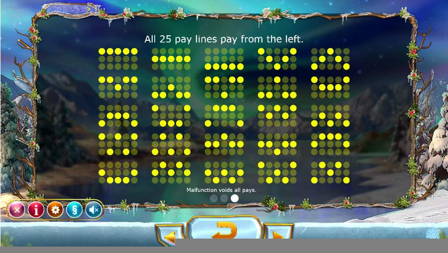 Winter Berries Pay Lines 