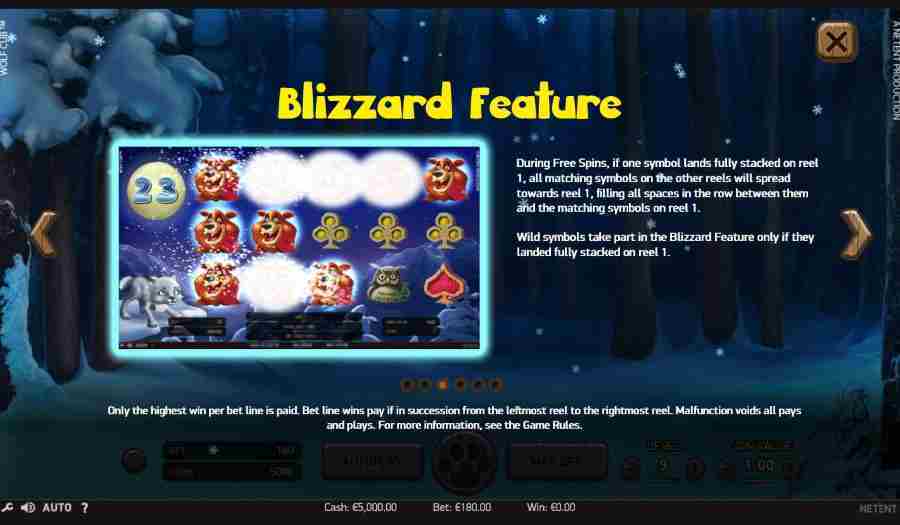 Wolf Cub Blizzard Feature