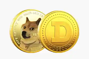 Casinos Dogecoin