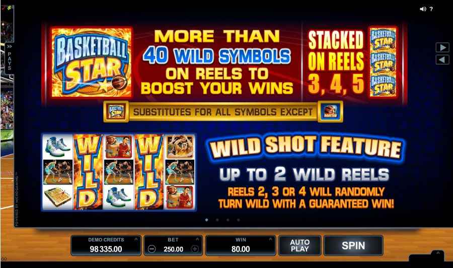 Basketball Star Wild Shot Feature