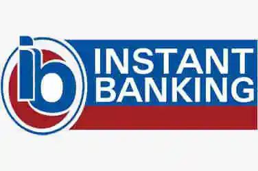 Casinos Instant Banking