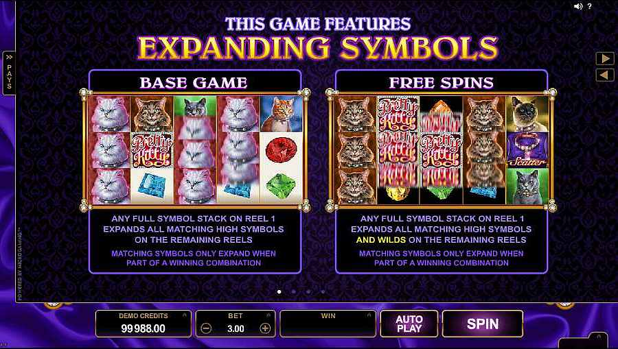 Pretty Kitty Expanding Symbols Feature