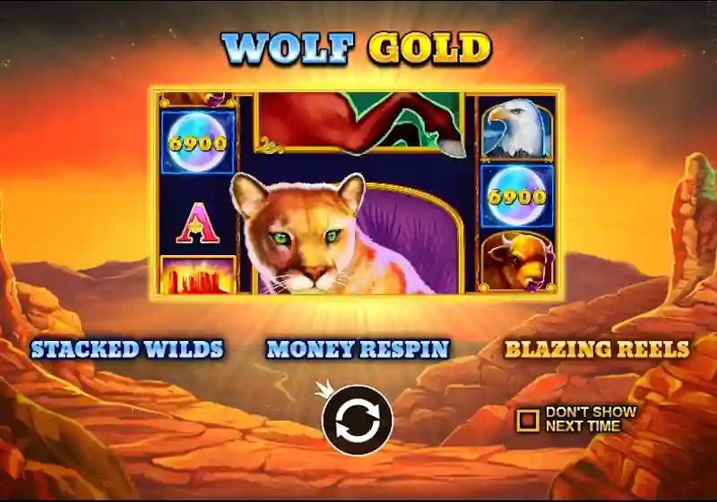 Wolf Gold Splash Screen