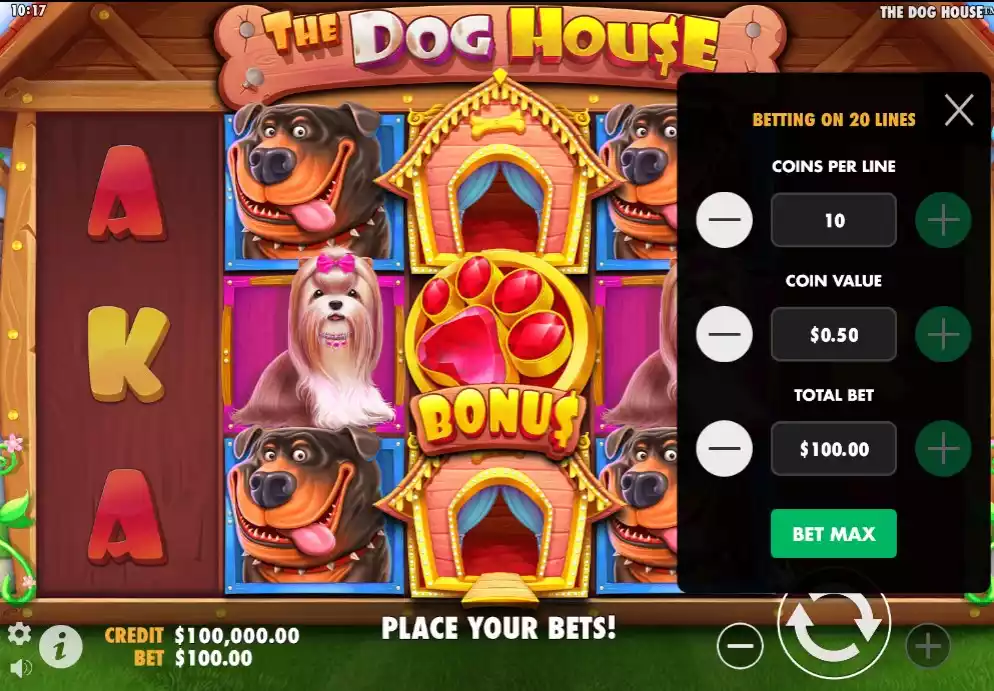 The Dog House Coin Selection